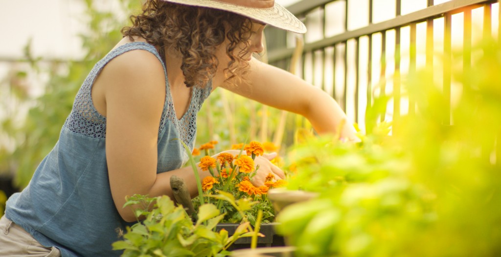 jardinage de printemps