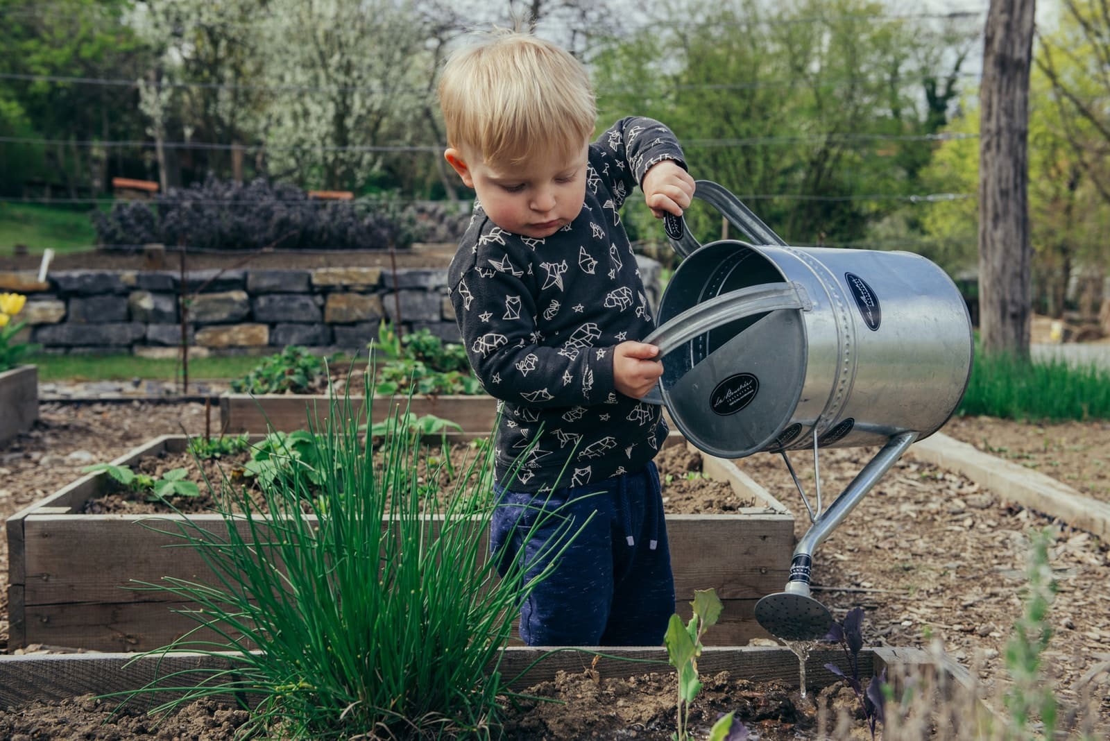 Les principaux outils de jardinage et leurs fonctions - Promesse de Fleurs