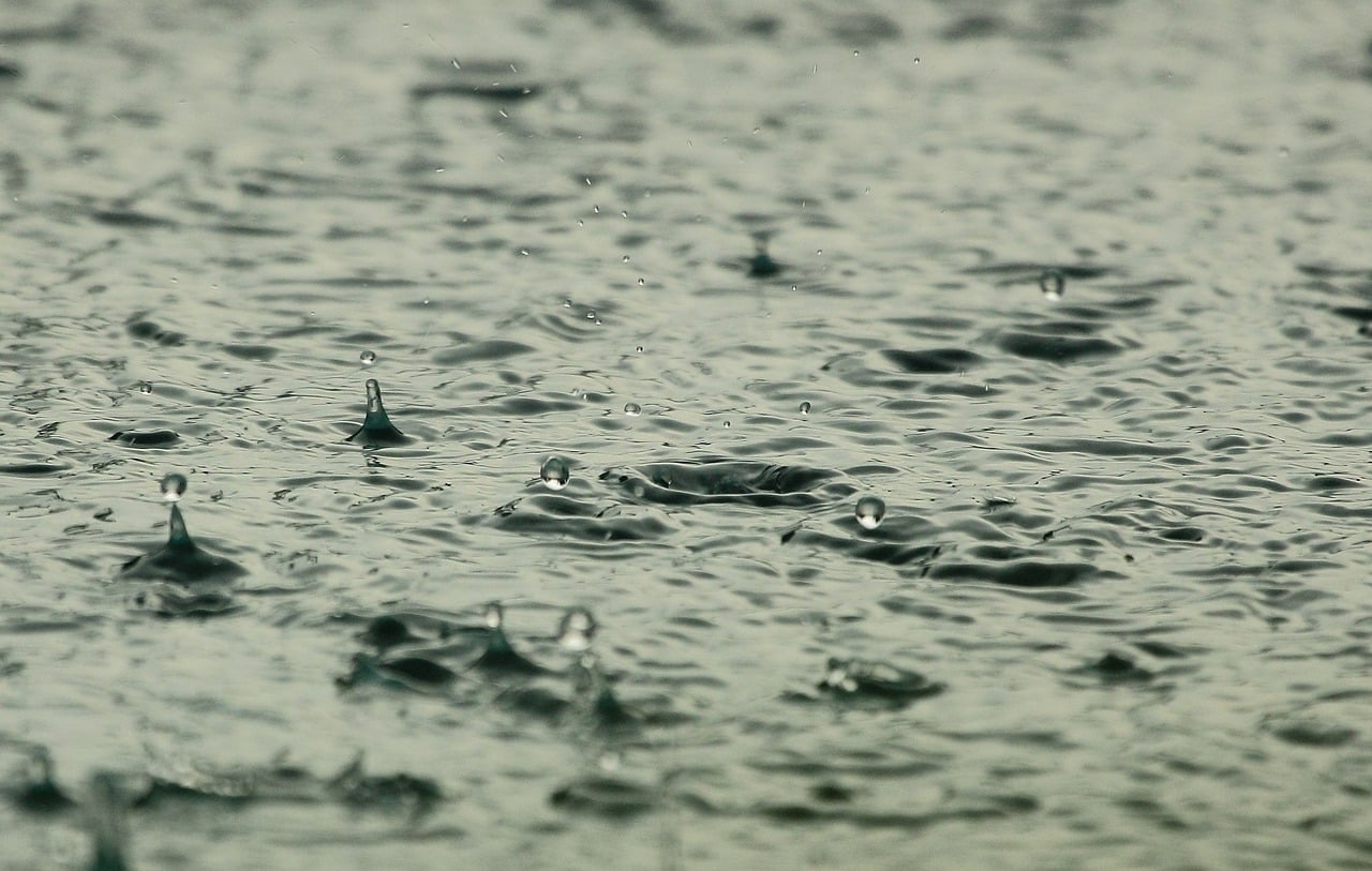 Comment obtenir un tuyau d'arrosage écologique à l'eau de pluie ? - My  Little Decouvertes