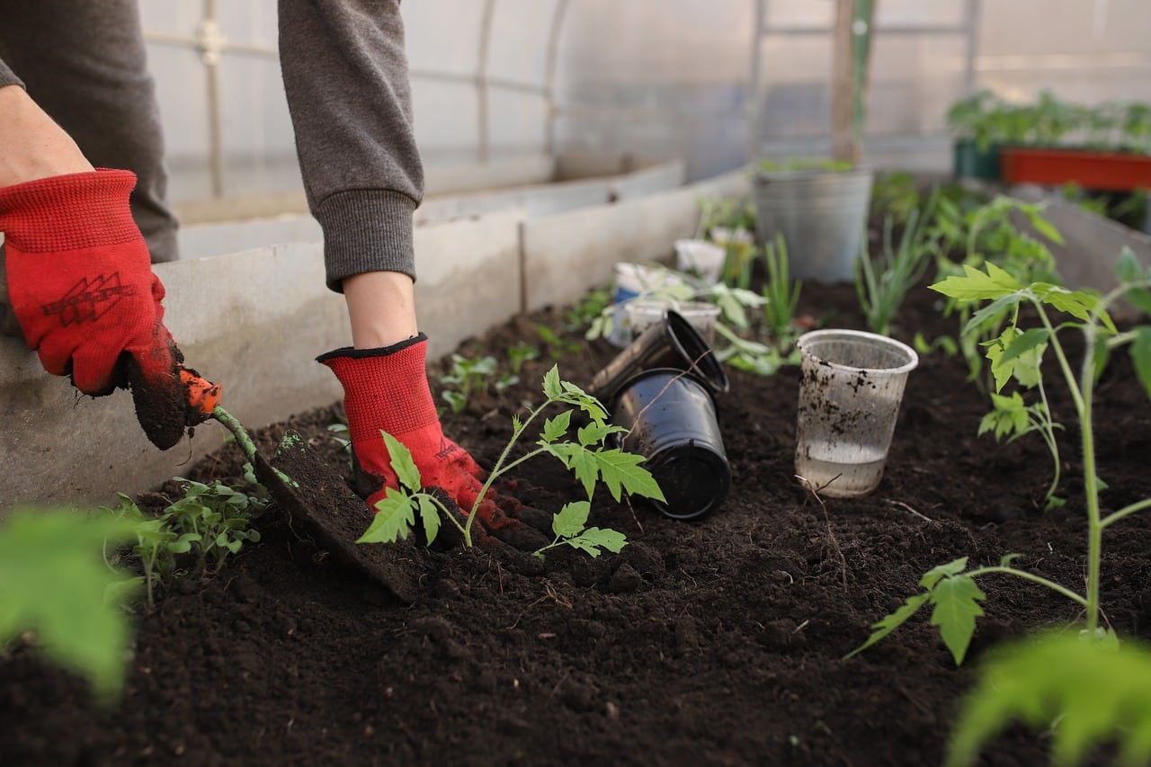 entretien potager