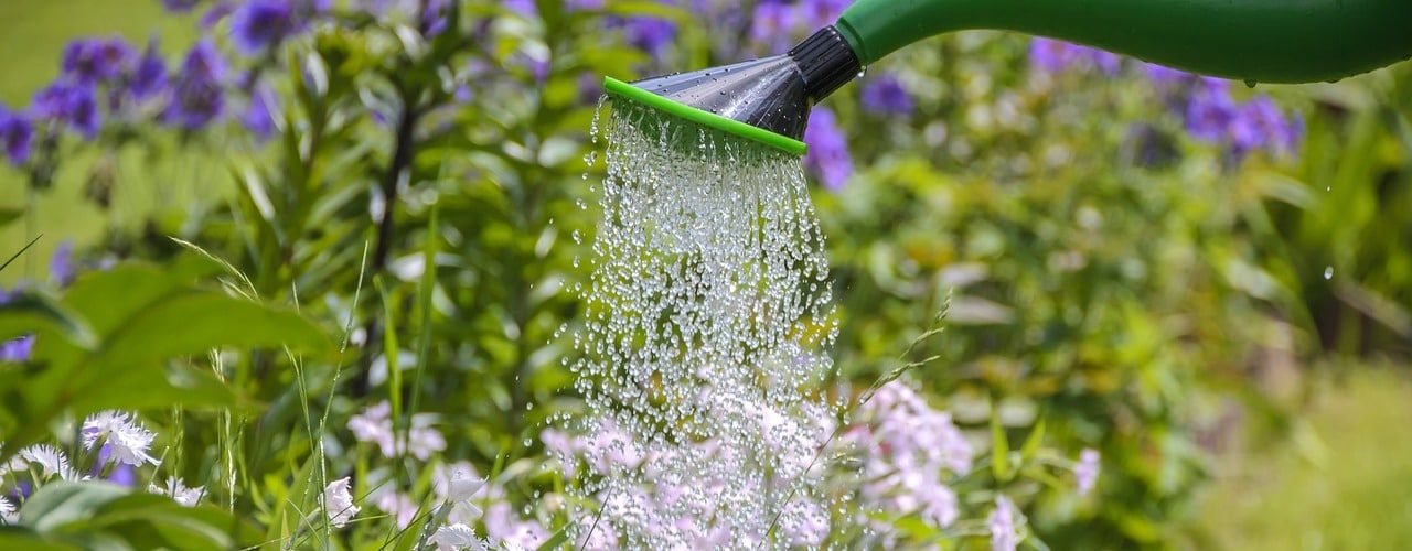 arrosage et economie d'eau