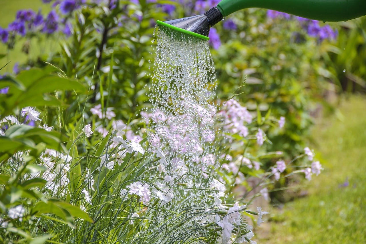 arrosage et economie d'eau