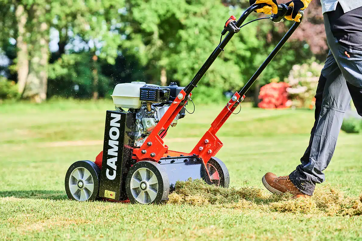 Meilleurs scarificateurs