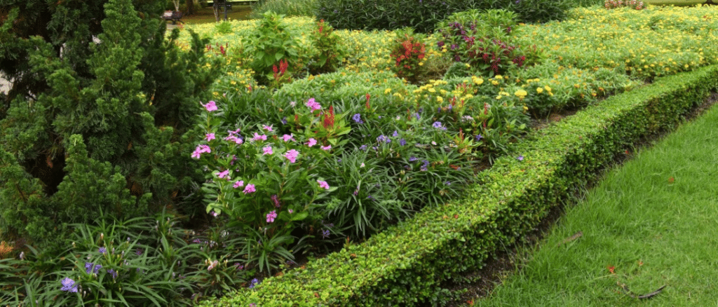 création de massifs de fleur